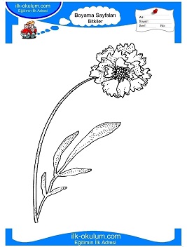 Çocuklar İçin Çiçek Boyama Sayfaları 